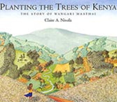 planting tree