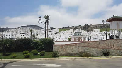 landscape