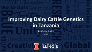 Improving Dairy Cattle Genetics in Tanzania